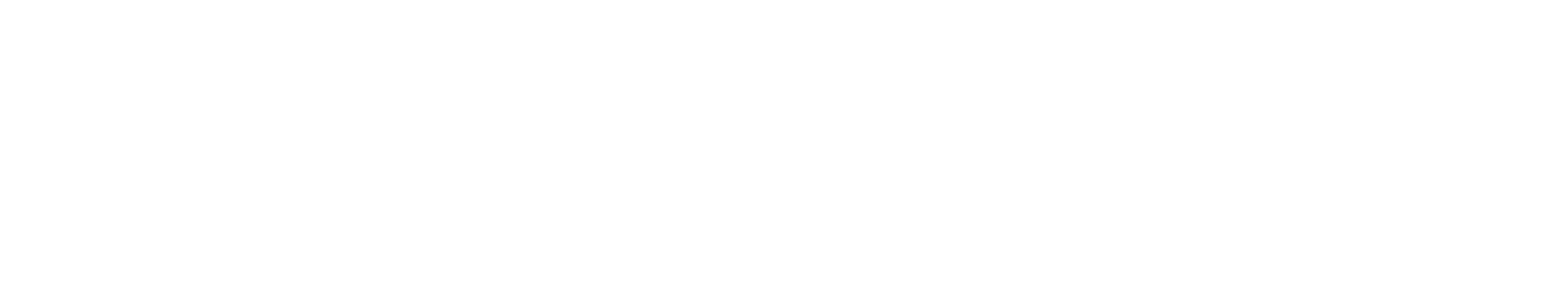 SoftCents Systems